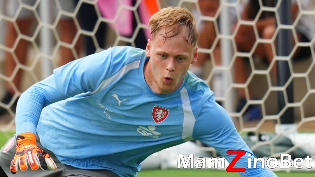 skysports-lukas-hornicek-hornicek_7311398-1024x576 Newcastle complete signing of Lukas Hornicek on five-year contract