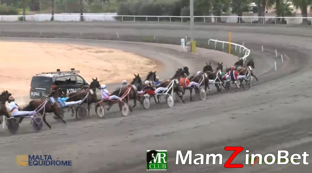 horses-1170x649-1-1024x568 Redent Magro crowned FEGAT World Amateur Drivers Champion in Malta