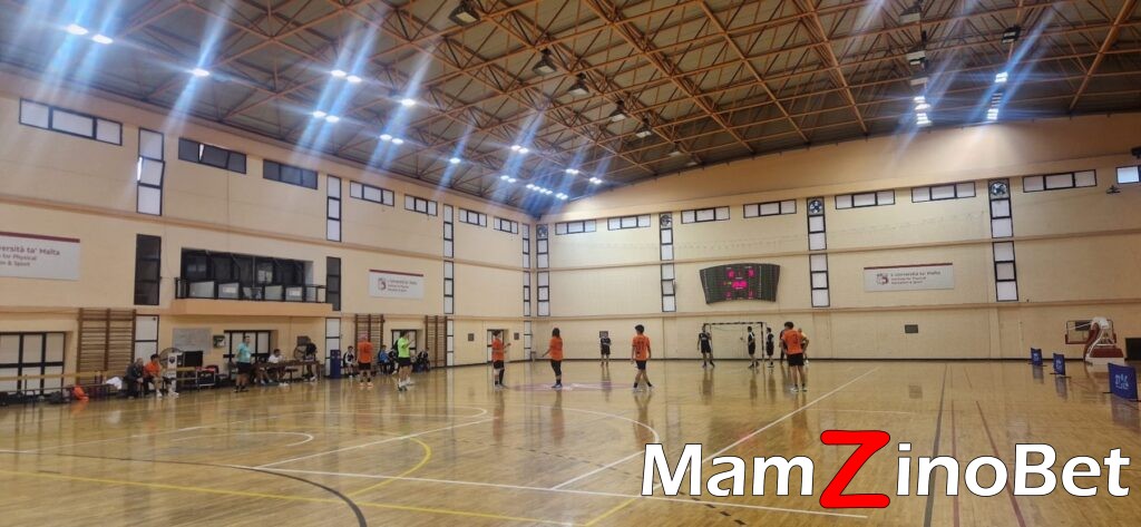 Photo_Mario-Mercieca-2-1024x473 HMS and Hawks Wurth register victories in Malta Handball Championship